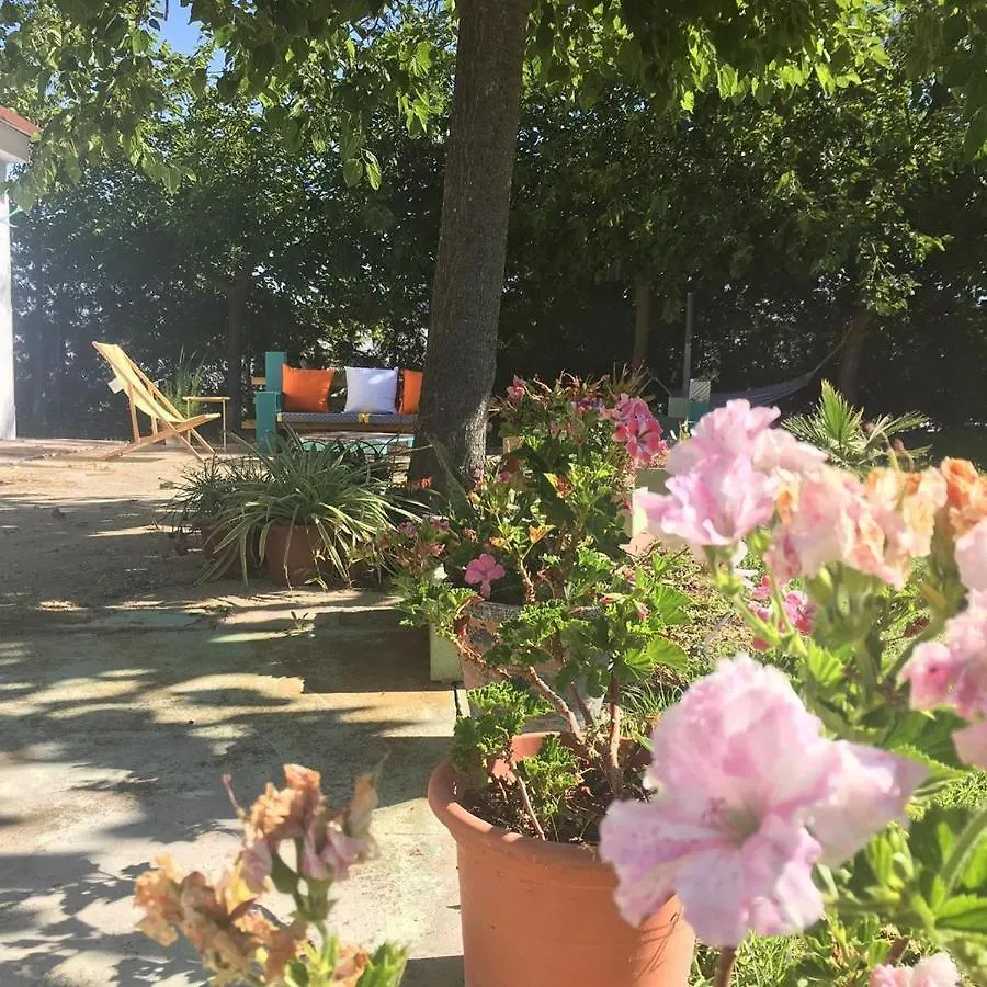 Casa Pilila, Alojamientos El Rompido Cartaya Holiday home